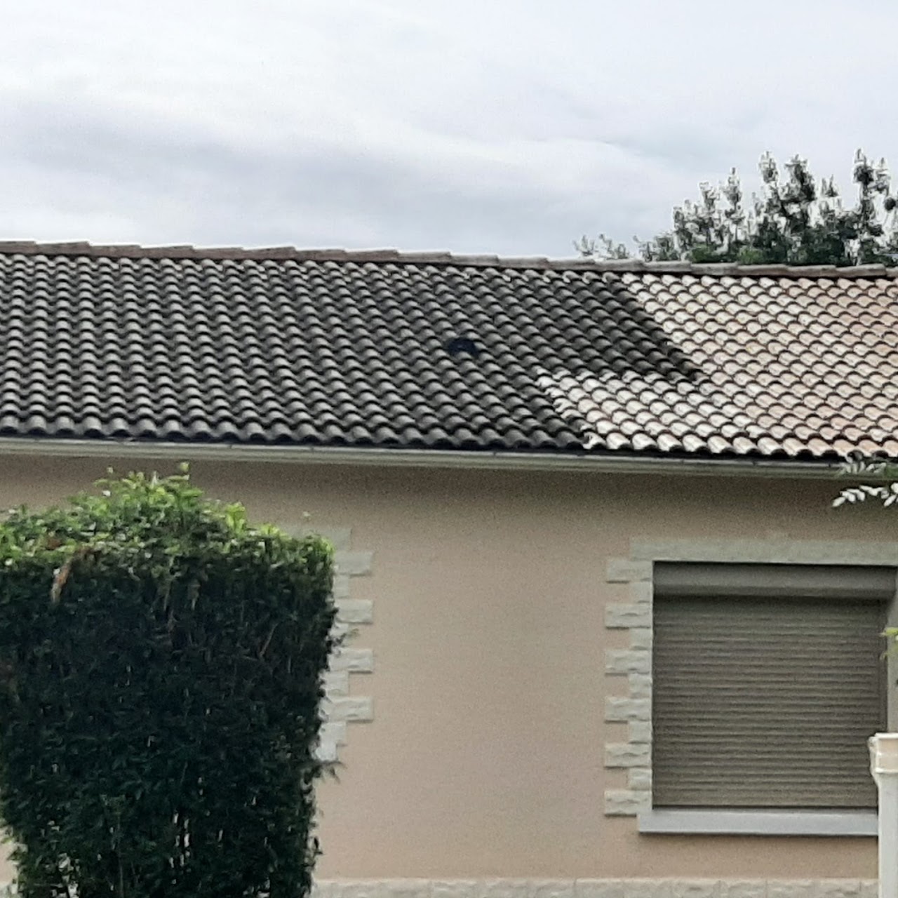 Toiture en tuiles et gouttière